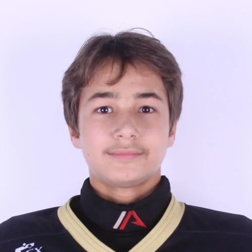 Manichev Aleksandr Dmitrievich