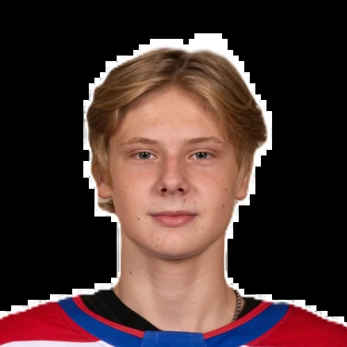 Vaganov Nikita Antonovich