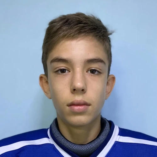Kolesnikov Daniil Vladimirovich