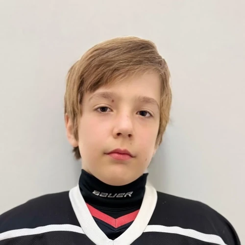 Bakurov Nikita Sergeevich