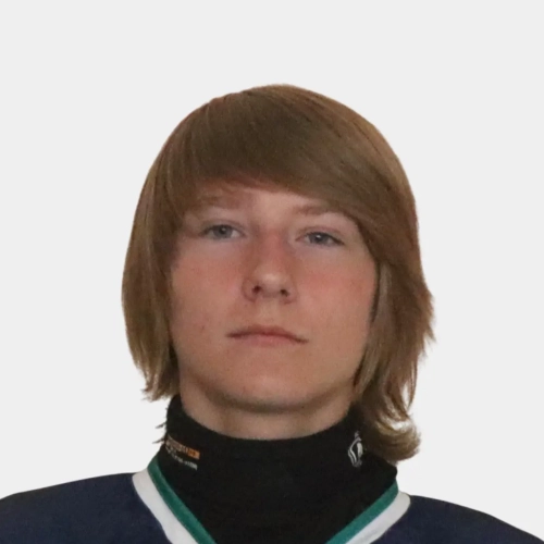 Vavilov Ilya Olegovich