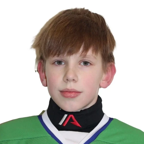 Losev Artem Dmitrievich