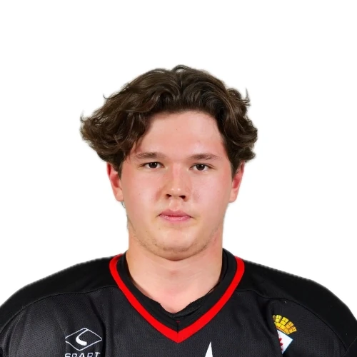 Ibraev Denis Vitalevich