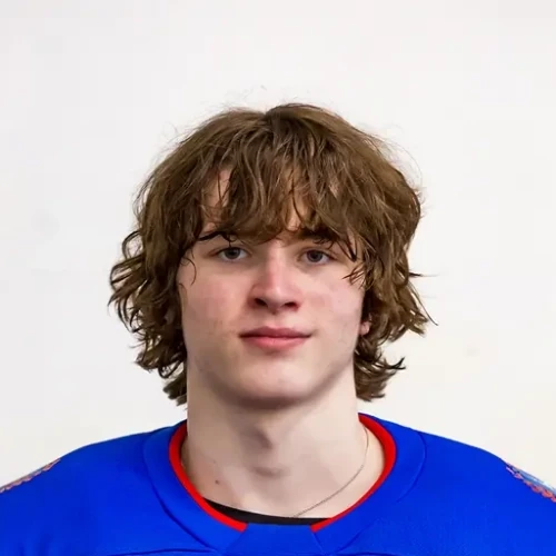 Voronich Demyan Filippovich