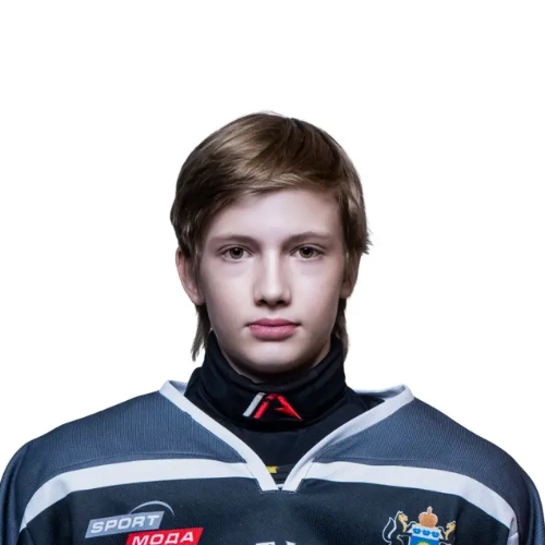 Husnimardanov Denis Rinatovich