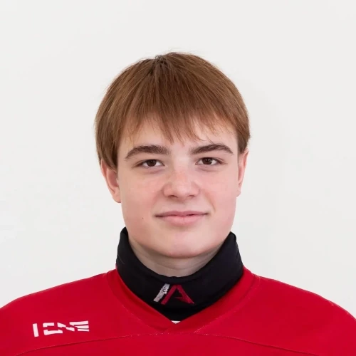 Charugin Artem Andreevich