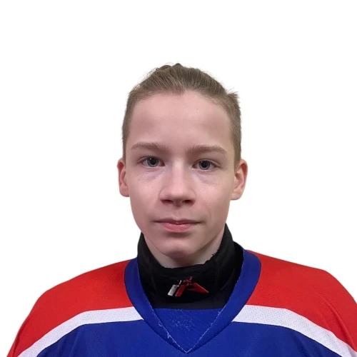 Afinogenov Dmitrii Egorovich