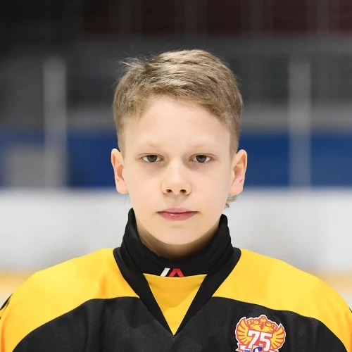 Voskresenskii Vsevolod Igorevich