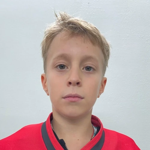 Goldobin Sergei Andreevich