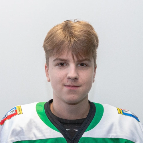 Novikov Mihail Alekseevich