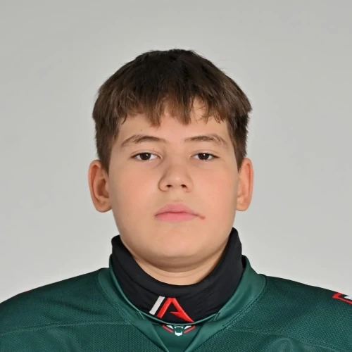 Sharifullin Amir Marselevich