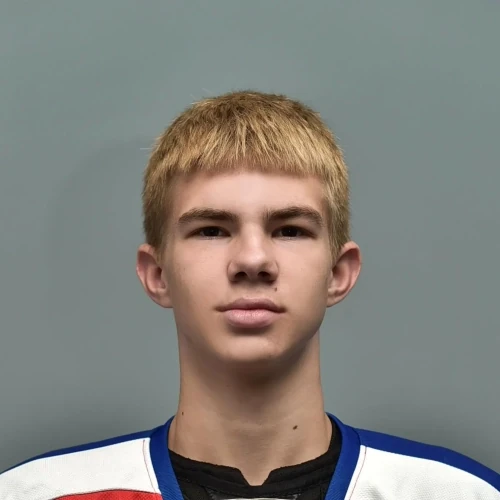 Dmitriev Daniil Dmitrievich