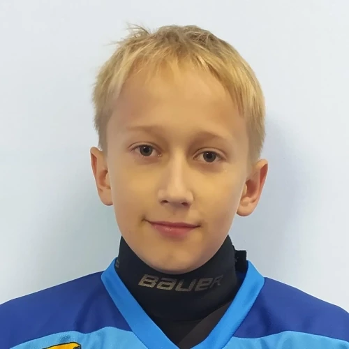 Gostyuhin Dmitrii Aleksandrovich