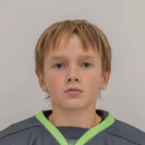 Gareev Artem Maratovich