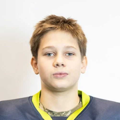 Voronenko Mihail Nikolaevich