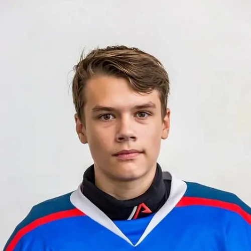 Malkov Denis Nikolaevich