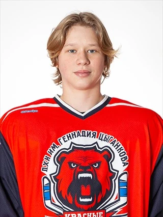 Dobrovolskii Nikita Andreevich