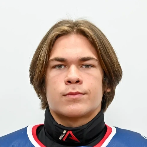 Shalin Nikita Aleksandrovich