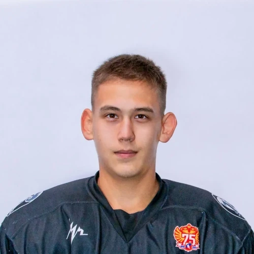 Gabidullin Ainur Linarovich