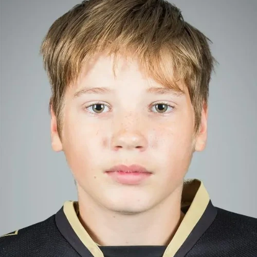 Sidorenko Stepan Pavlovich