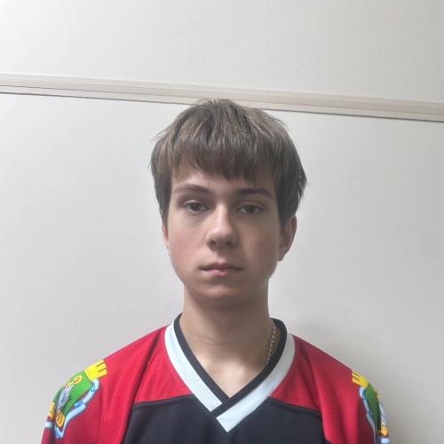Vatolin Dmitrii Evgenevich