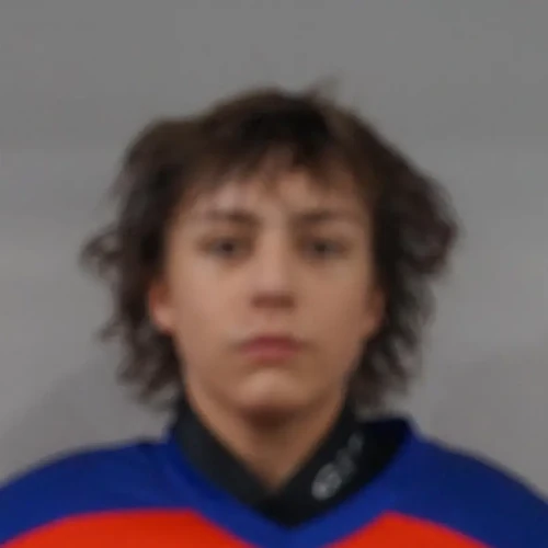 Nikolaichenko Dmitrii Igorevich