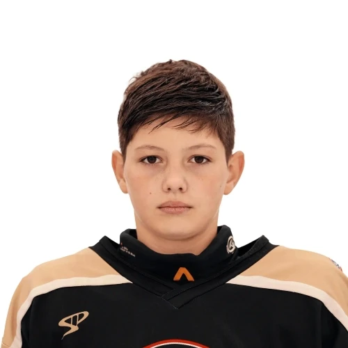 Shalygin Ivan Vasilevich
