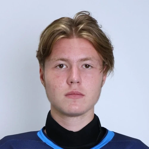 Belousov Andrei Sergeevich