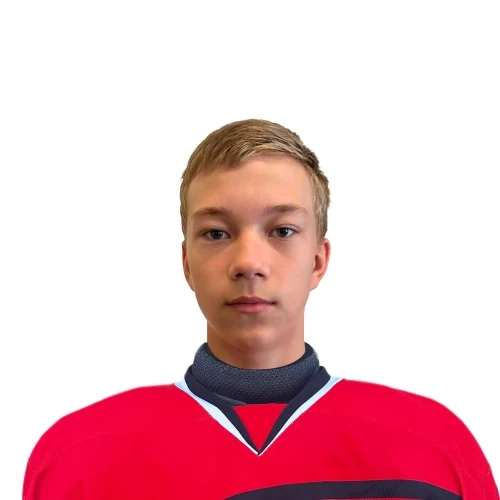Malyshev Nikolai Ilich