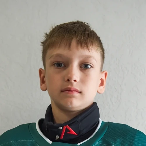 Abdulov Danis Renatovich