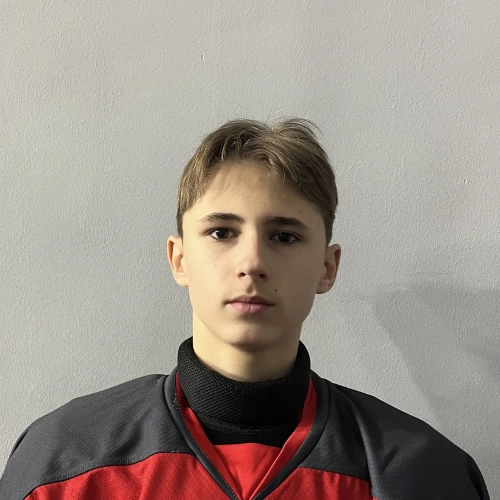 Sergeev Dmitrii Yurevich