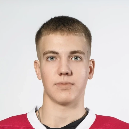 Koltyshev Dmitrii Ivanovich