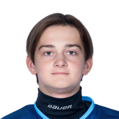 Titarenko Stanislav Igorevich