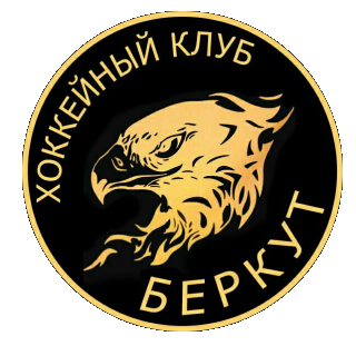 Беркут 2008-2009