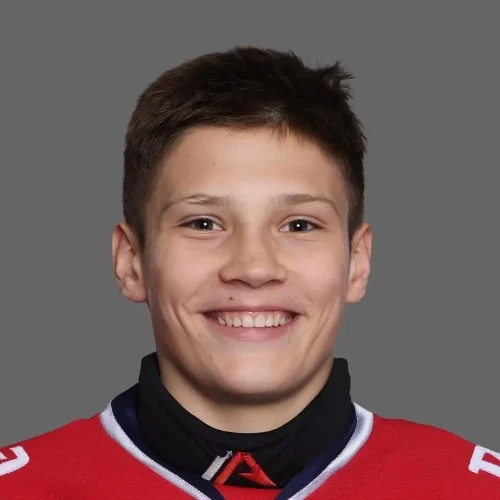 Kolesnikov Nikolai Dmitrievich