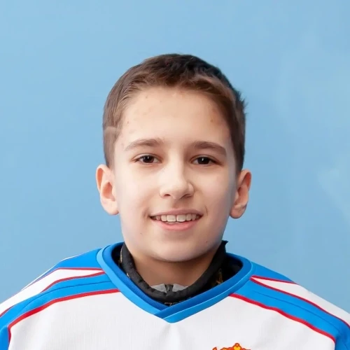 Shleinikov Dmitrii Valerevich
