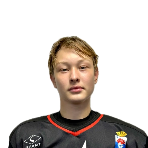 Svetlakov Yaroslav Artemovich
