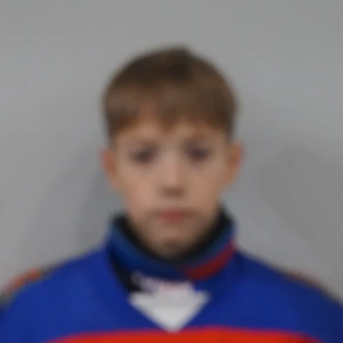 Novikov Mark Grigorevich