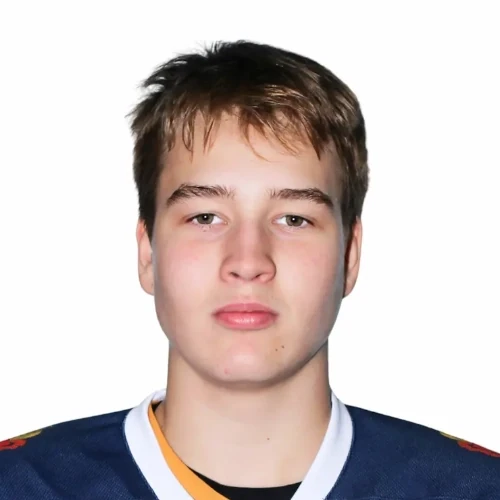 Aleshin Artem Anatolevich