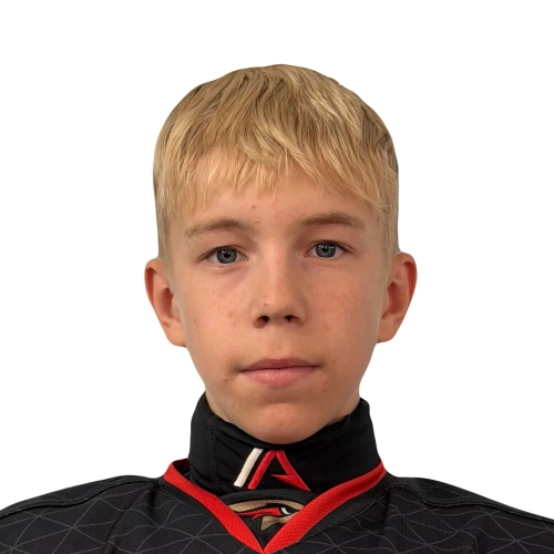 Pereskokov Demid Evgenevich