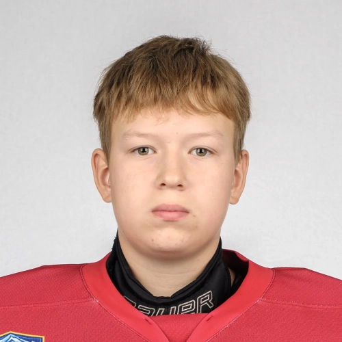 Melnikov Ilya Ivanovich