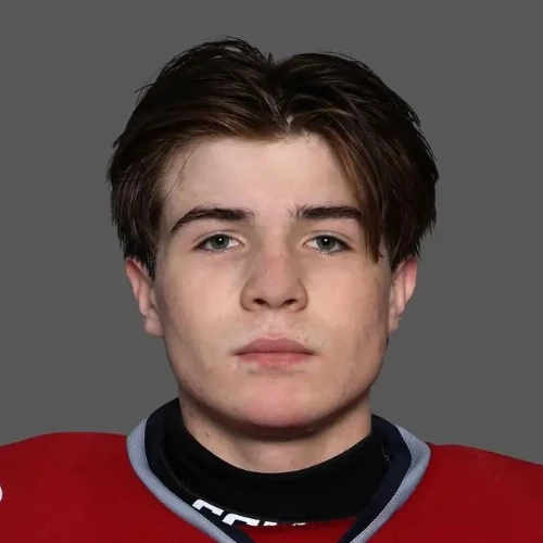 Litke Yaroslav Evgenevich