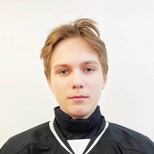 Putintsev Vadim Dmitrievich