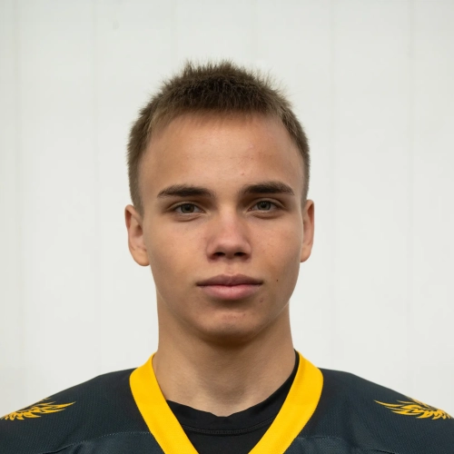 Romantsov Nikolai Aleksandrovich