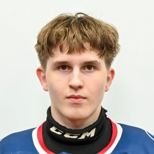 Loznov Grigorii Aleksandrovich
