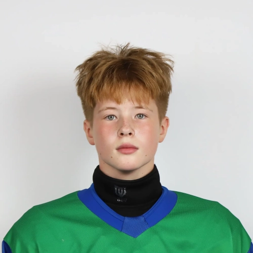 Novikov Timur Maksimovich