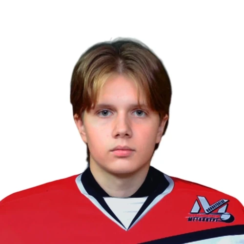 Mihailov Artem Aleksandrovich
