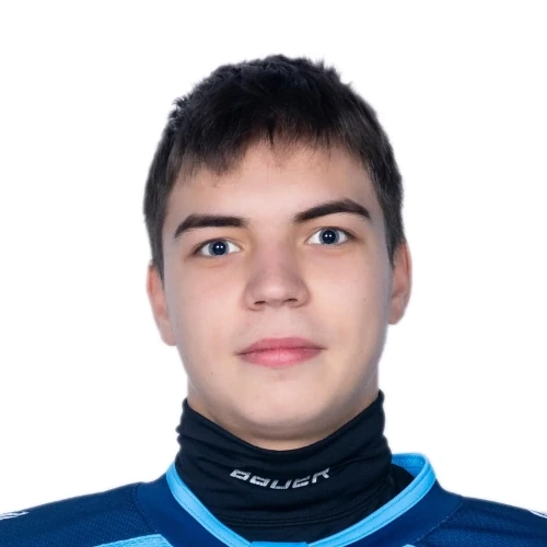 Danilin Vladislav Evgenevich