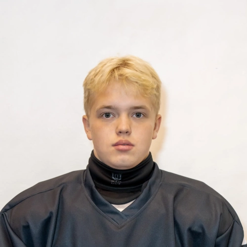 Pesterev Artem Vladimirovich