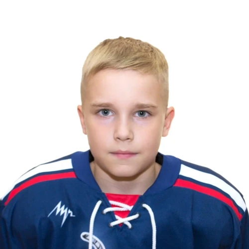Lipov Arsenii Dmitrievich